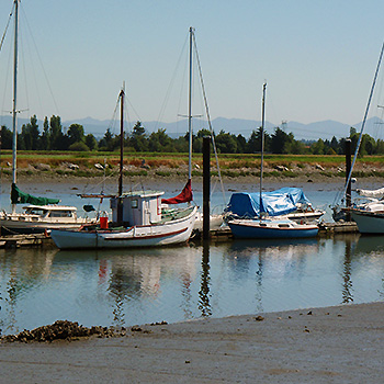 Ward's Marina